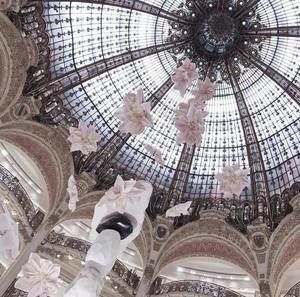 Meet your Posher, Mona